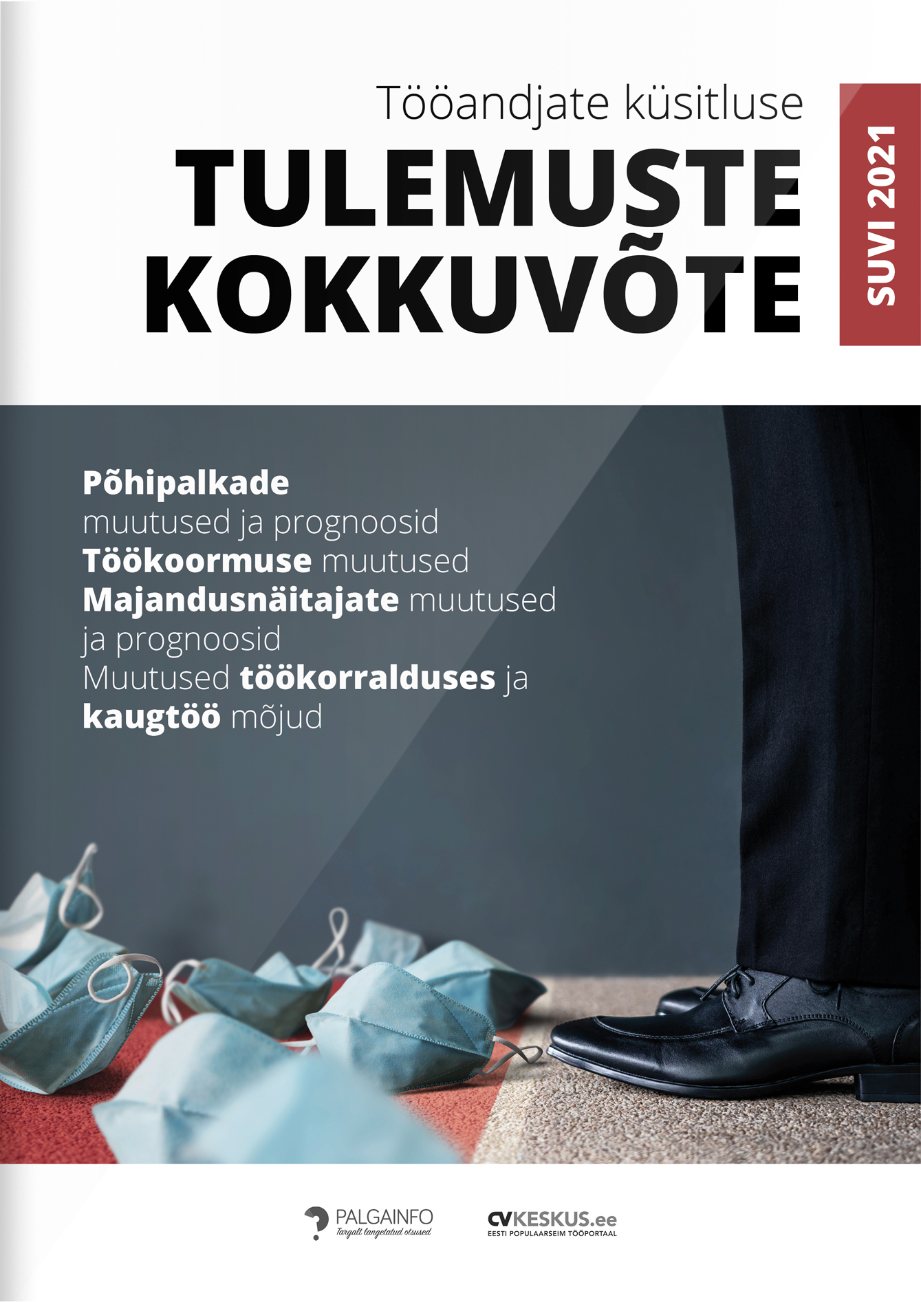 KS2020 org veeb kaas vaike